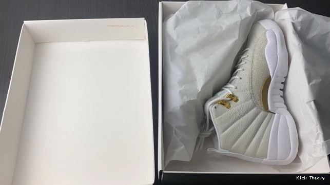 Kick Theory Retro 12 OVO White Jordan 873864-102 0816
